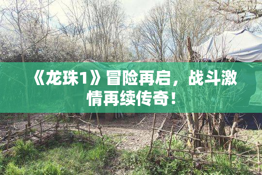 《龙珠1》冒险再启，战斗激情再续传奇！
