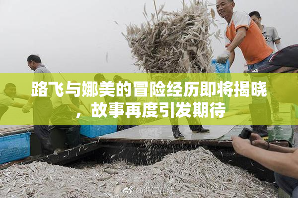 路飞与娜美的冒险经历即将揭晓，故事再度引发期待