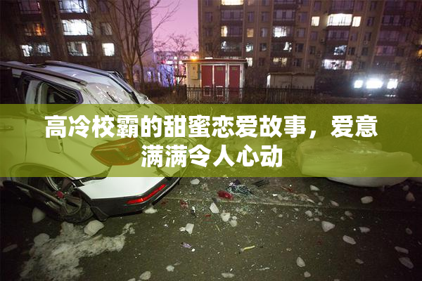 高冷校霸的甜蜜恋爱故事，爱意满满令人心动