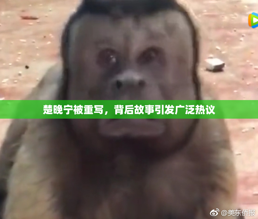 楚晚宁被重写，背后故事引发广泛热议