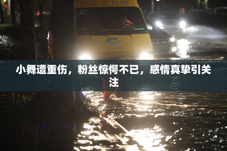 小舞遭重伤，粉丝惊愕不已，感情真挚引关注