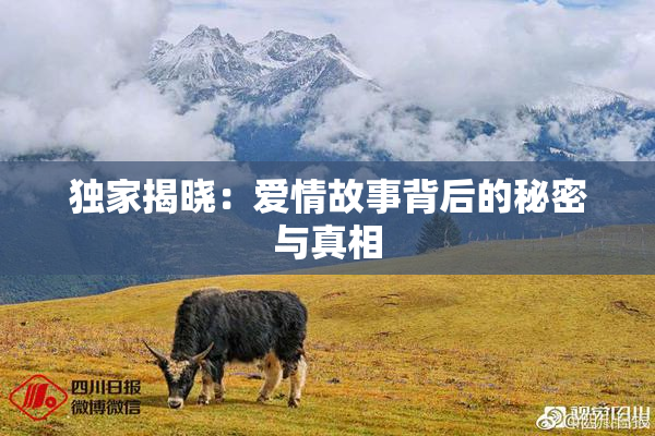 独家揭晓：爱情故事背后的秘密与真相