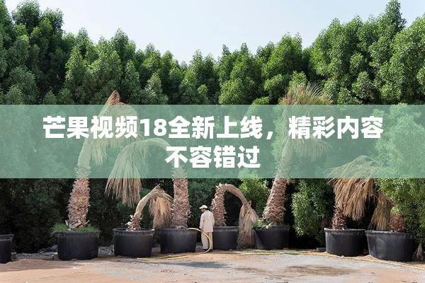 芒果视频18全新上线，精彩内容不容错过