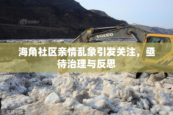 海角社区亲情乱象引发关注，亟待治理与反思