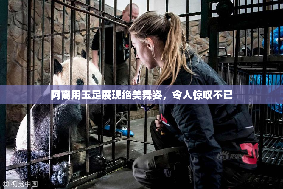 阿离用玉足展现绝美舞姿，令人惊叹不已