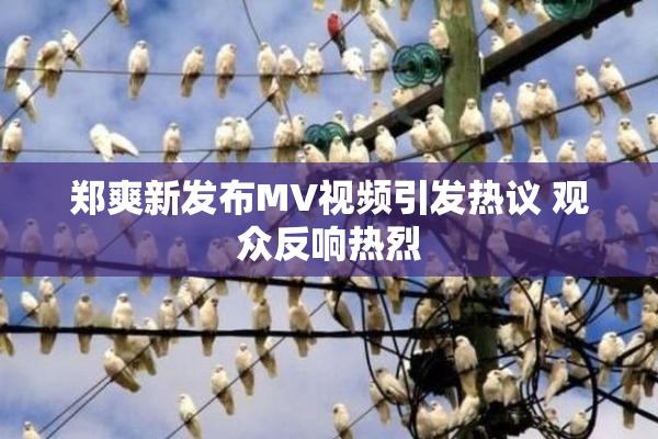 郑爽新发布MV视频引发热议 观众反响热烈