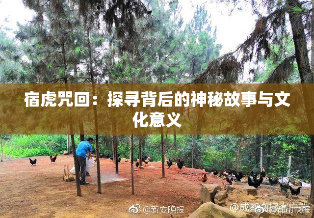 宿虎咒回：探寻背后的神秘故事与文化意义
