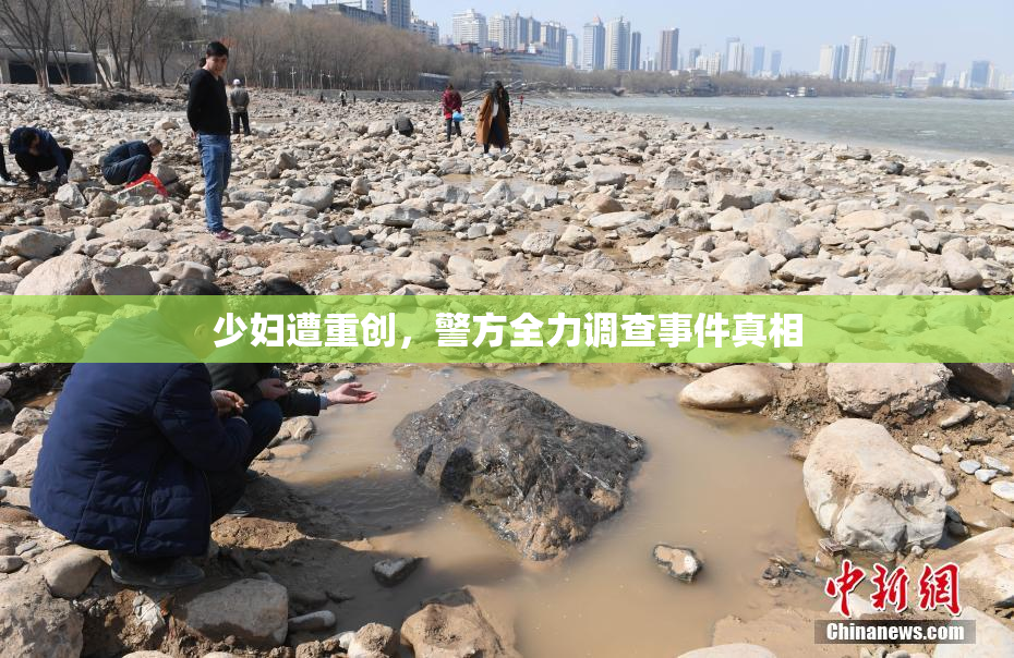 少妇遭重创，警方全力调查事件真相