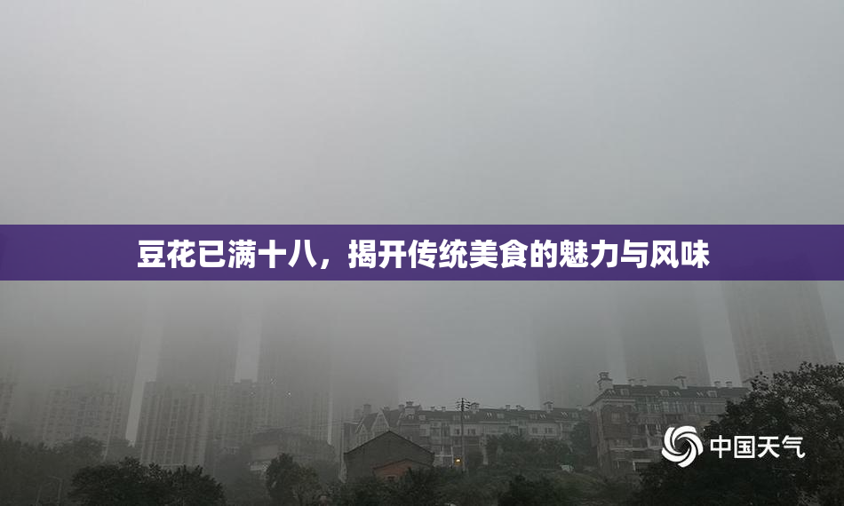 豆花已满十八，揭开传统美食的魅力与风味
