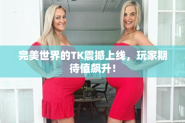 完美世界的TK震撼上线，玩家期待值飙升！