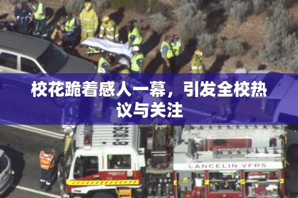 校花跪着感人一幕，引发全校热议与关注