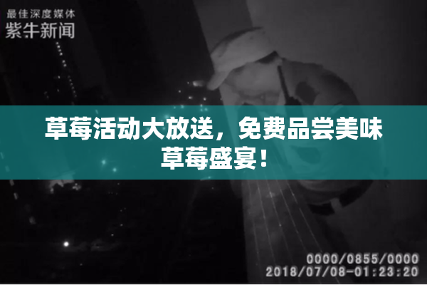 草莓活动大放送，免费品尝美味草莓盛宴！