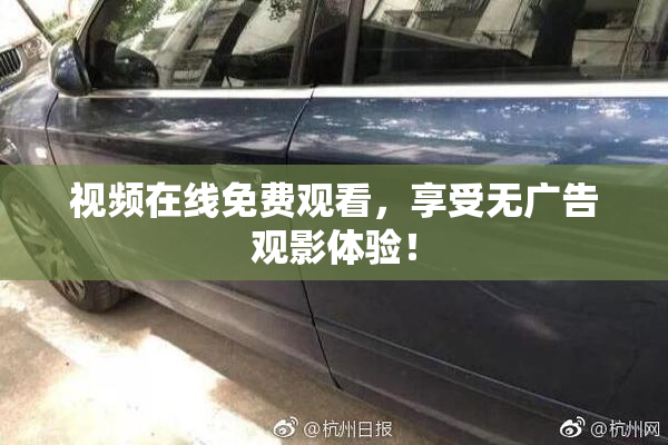 视频在线免费观看，享受无广告观影体验！