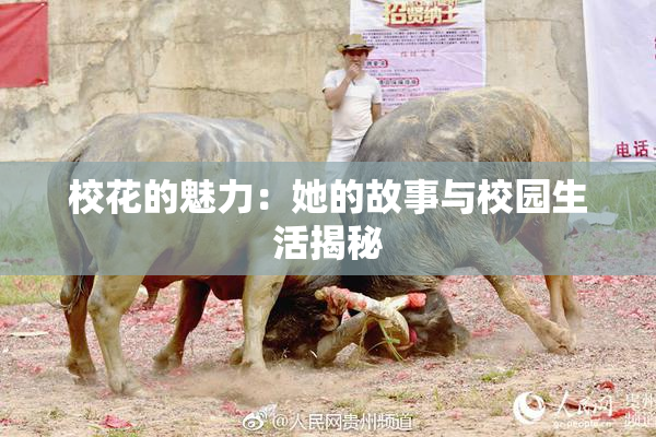 校花的魅力：她的故事与校园生活揭秘