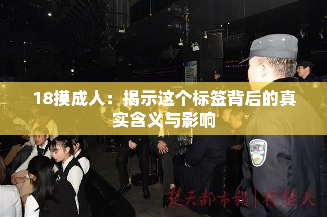 18摸成人：揭示这个标签背后的真实含义与影响