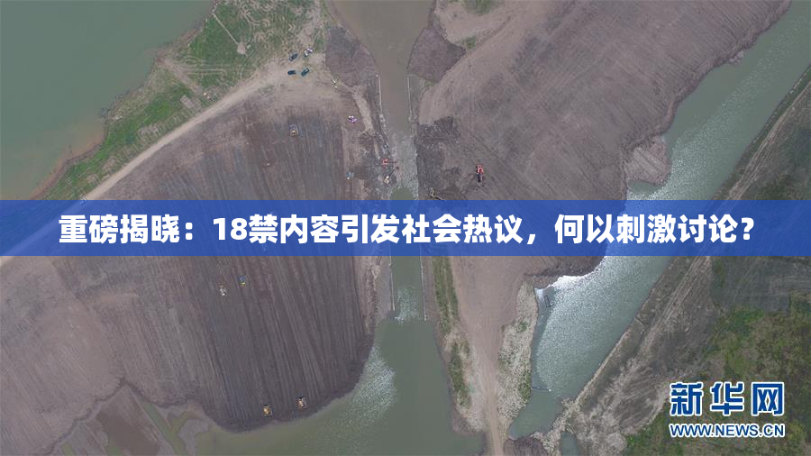 重磅揭晓：18禁内容引发社会热议，何以刺激讨论？