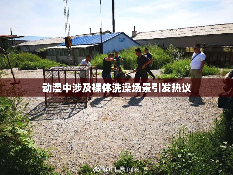 动漫中涉及裸体洗澡场景引发热议