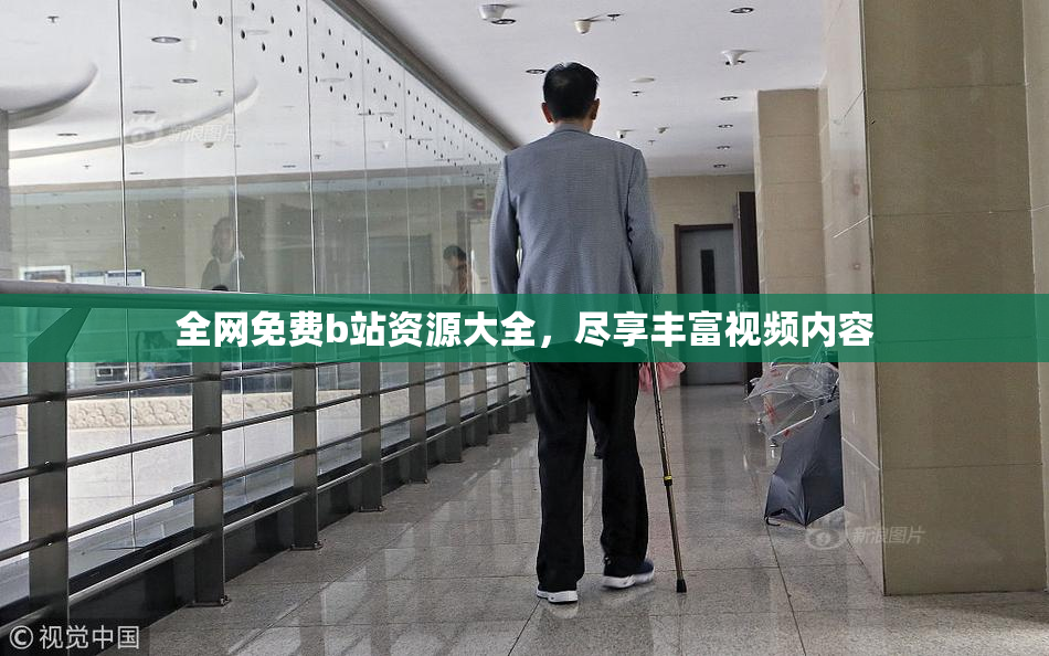 全网免费b站资源大全，尽享丰富视频内容