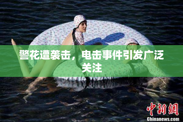 警花遭袭击，电击事件引发广泛关注
