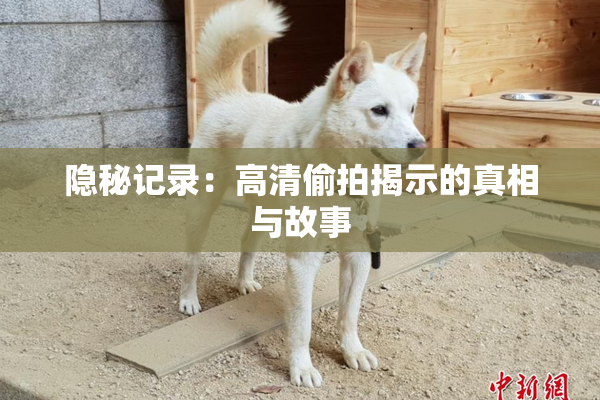 隐秘记录：高清偷拍揭示的真相与故事