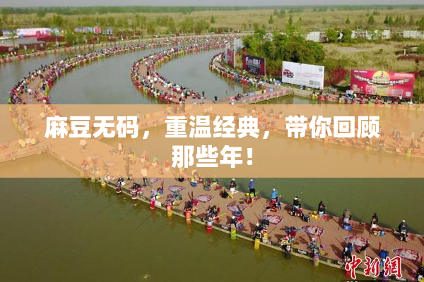 麻豆无码，重温经典，带你回顾那些年！