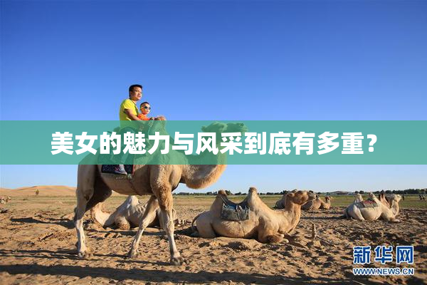 美女的魅力与风采到底有多重？