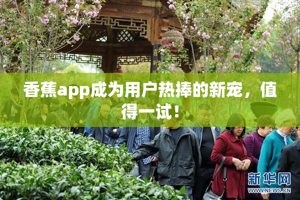 香蕉app成为用户热捧的新宠，值得一试！
