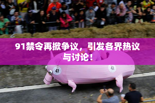 91禁令再掀争议，引发各界热议与讨论！
