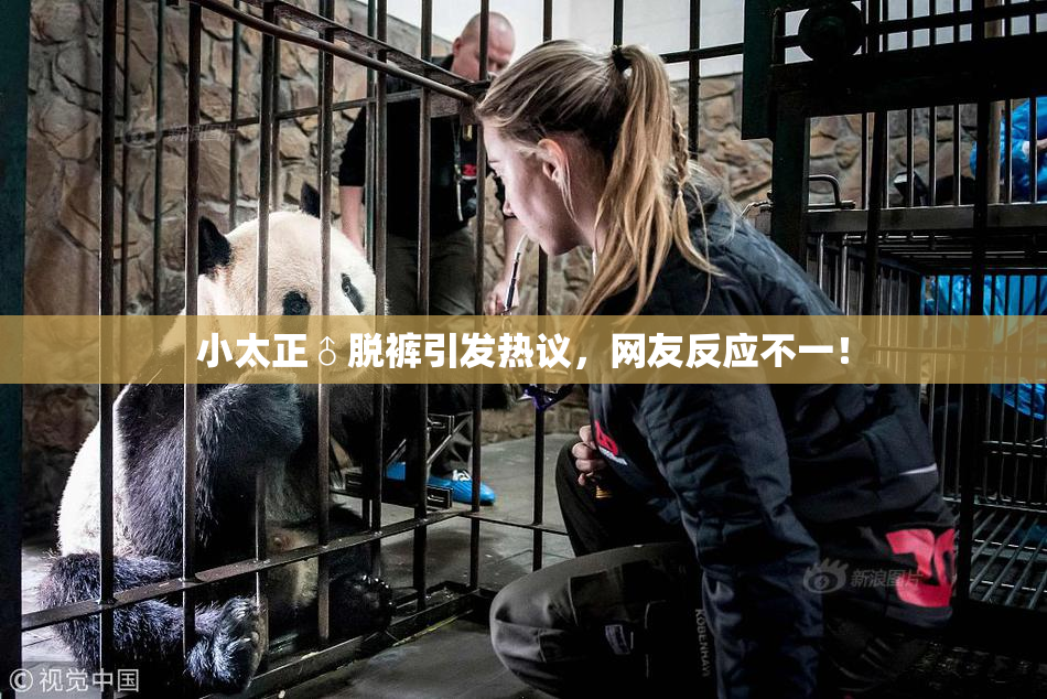 小太正♂脱裤引发热议，网友反应不一！