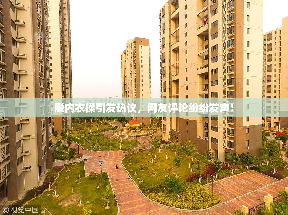 脱内衣揉引发热议，网友评论纷纷发声！