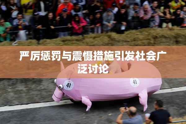 严厉惩罚与震慑措施引发社会广泛讨论
