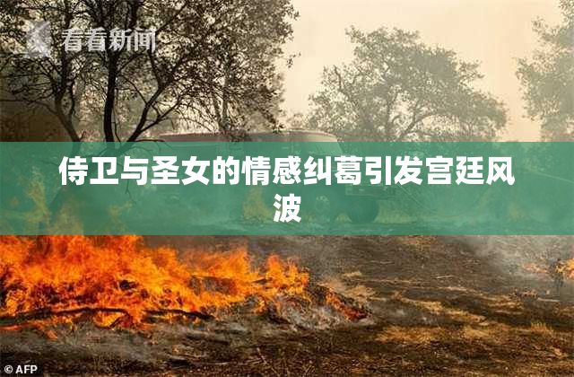 侍卫与圣女的情感纠葛引发宫廷风波