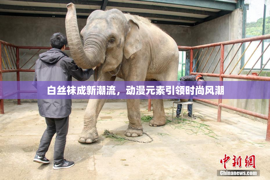 白丝袜成新潮流，动漫元素引领时尚风潮