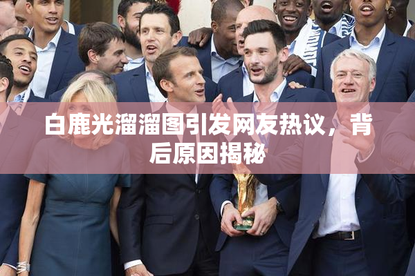 白鹿光溜溜图引发网友热议，背后原因揭秘