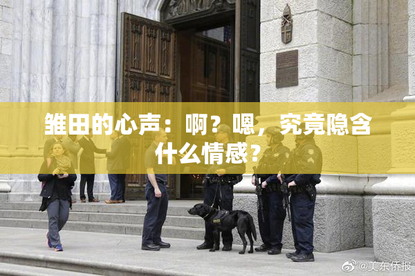 雏田的心声：啊？嗯，究竟隐含什么情感？
