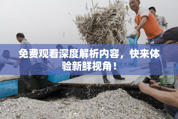 免费观看深度解析内容，快来体验新鲜视角！