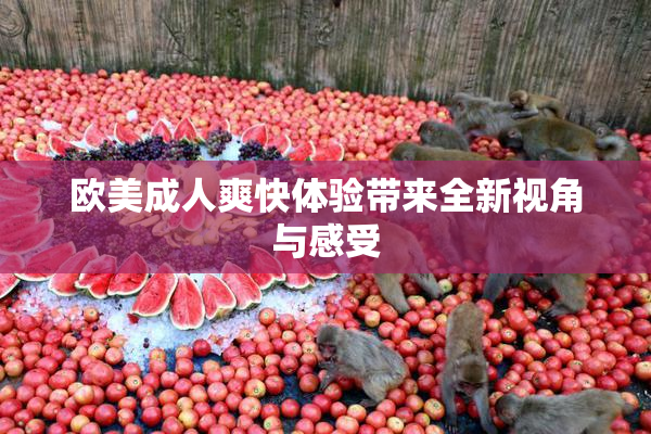 欧美成人爽快体验带来全新视角与感受