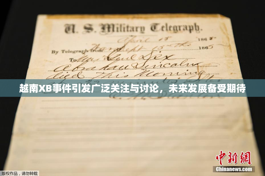 越南XB事件引发广泛关注与讨论，未来发展备受期待