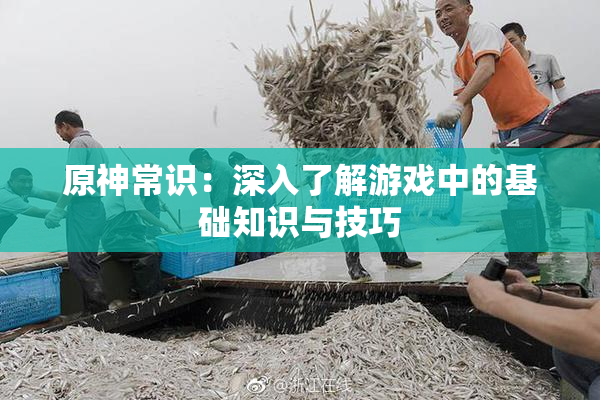 原神常识：深入了解游戏中的基础知识与技巧