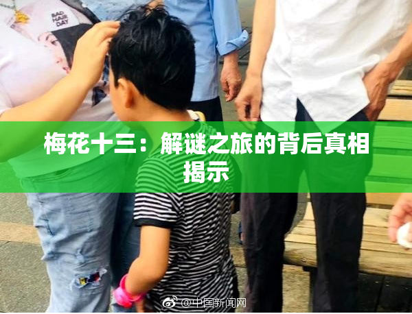 梅花十三：解谜之旅的背后真相揭示