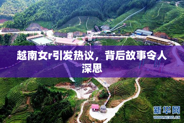 越南女r引发热议，背后故事令人深思