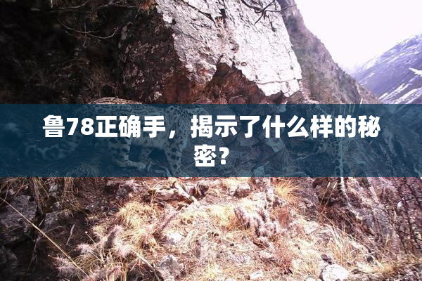 鲁78正确手，揭示了什么样的秘密？