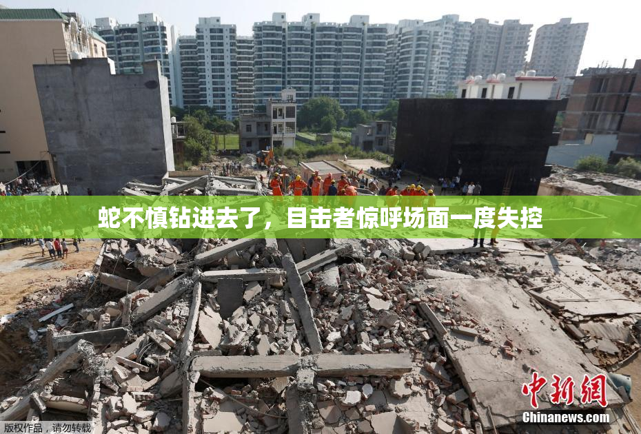 蛇不慎钻进去了，目击者惊呼场面一度失控