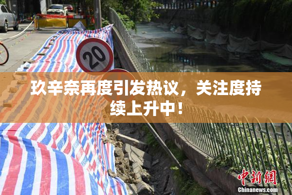 玖辛奈再度引发热议，关注度持续上升中！