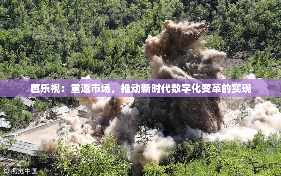 芭乐视：重返市场，推动新时代数字化变革的实现