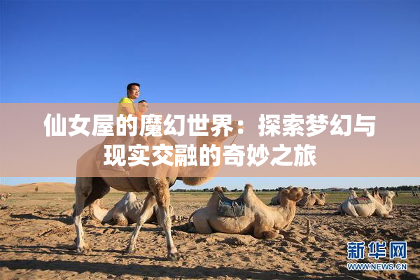 仙女屋的魔幻世界：探索梦幻与现实交融的奇妙之旅