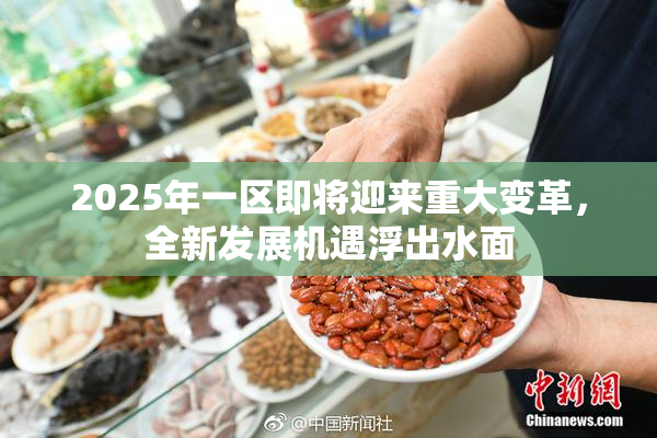 2025年一区即将迎来重大变革，全新发展机遇浮出水面
