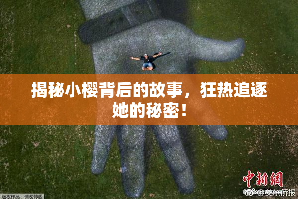 揭秘小樱背后的故事，狂热追逐她的秘密！
