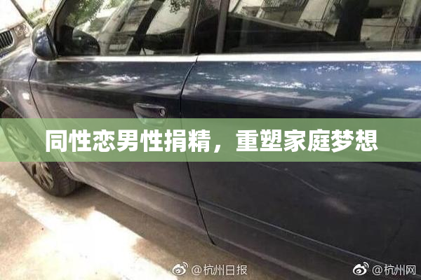 同性恋男性捐精，重塑家庭梦想