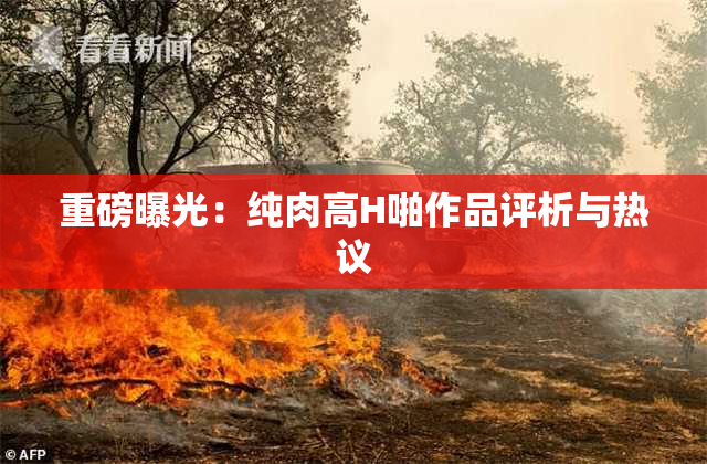重磅曝光：纯肉高H啪作品评析与热议